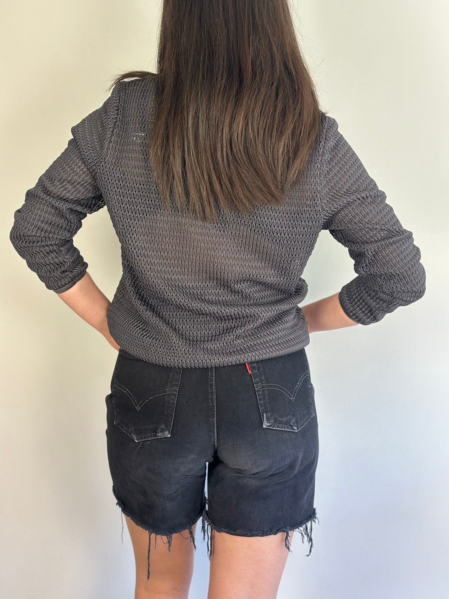 Mesh Long Sleeve Blouse