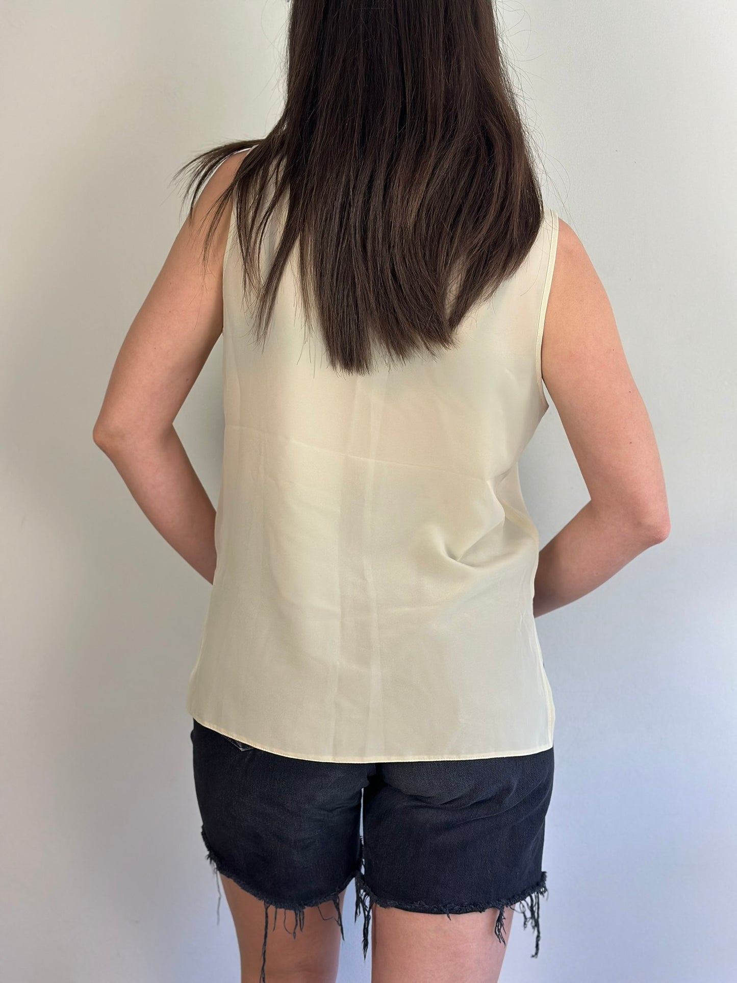 Vintage Beige Top