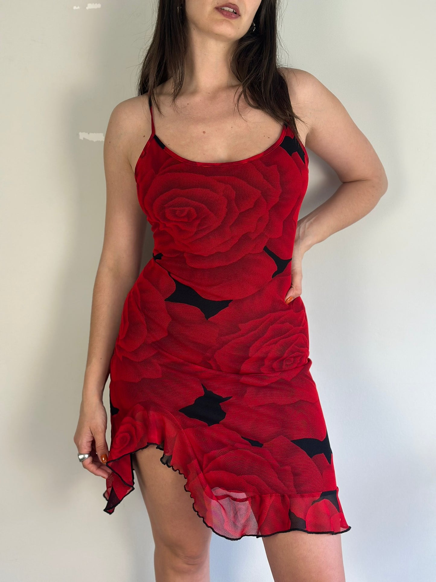Vintage Dress with Roses Print