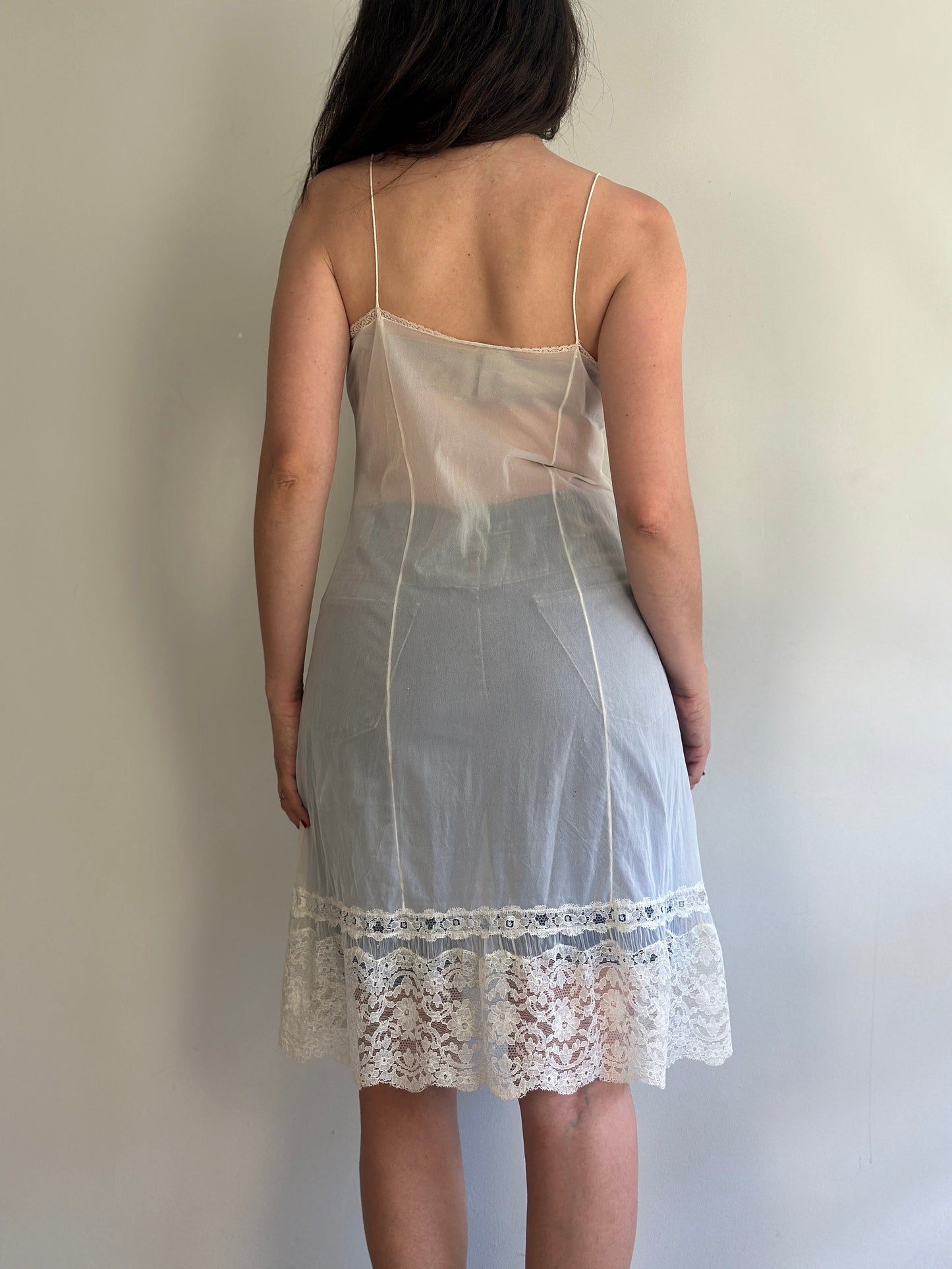 Vintage Sheer Dress