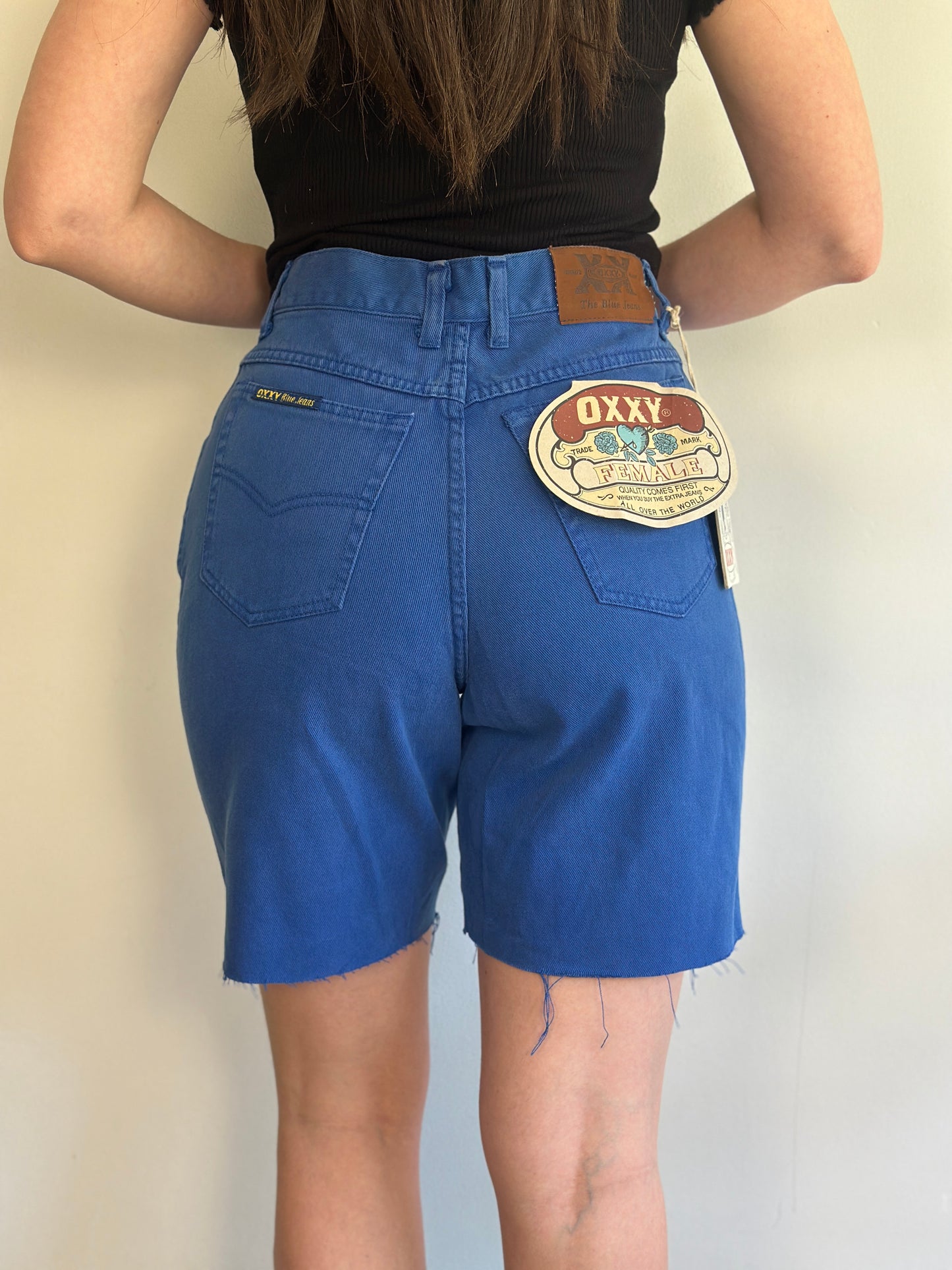 Vintage Denim Shorts