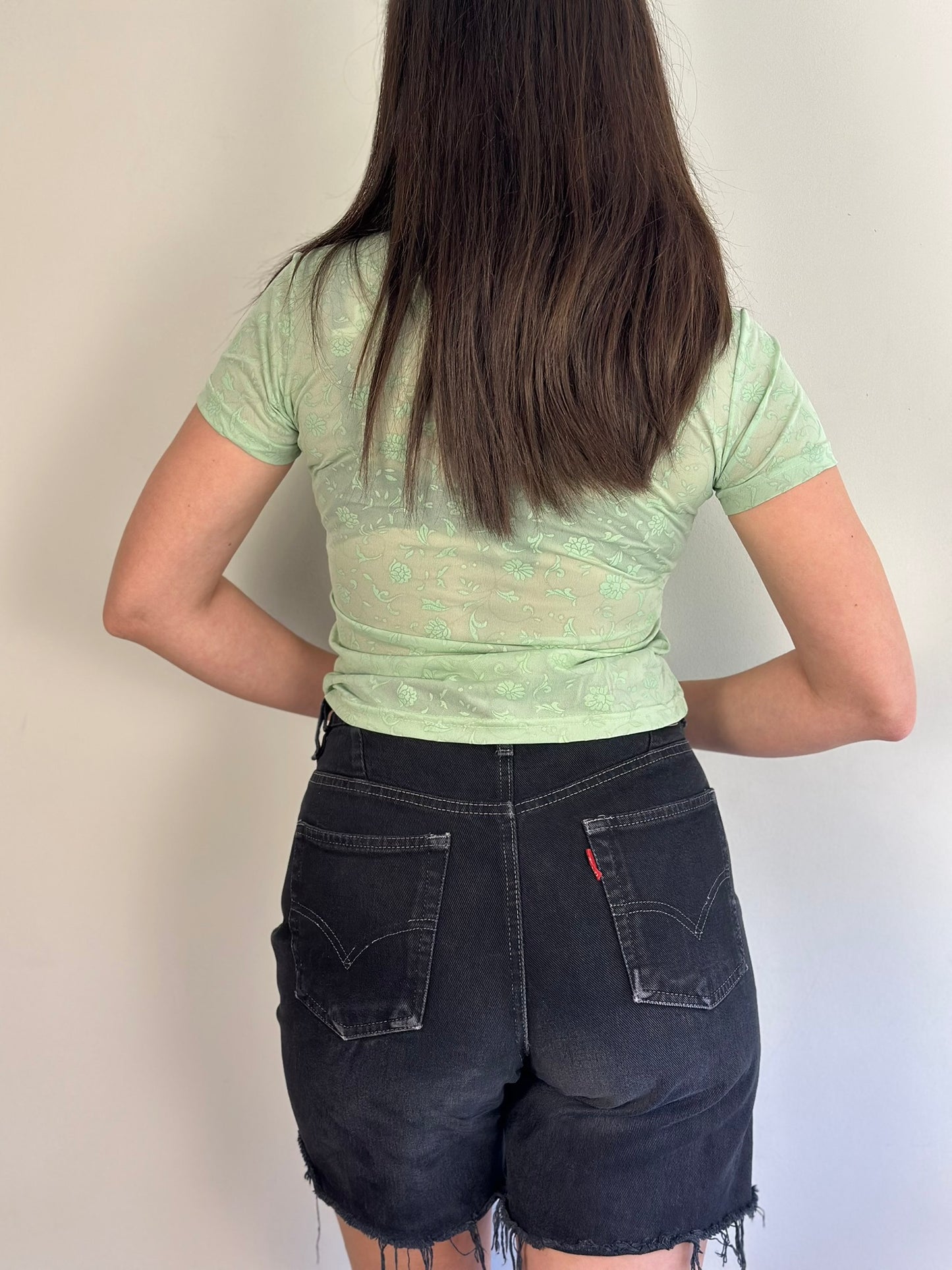 Vintage Sheer Top