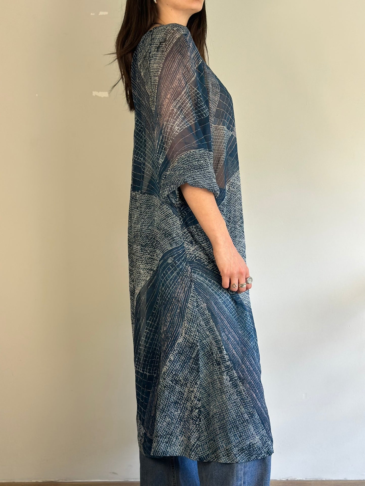 Vintage Sheer Dress