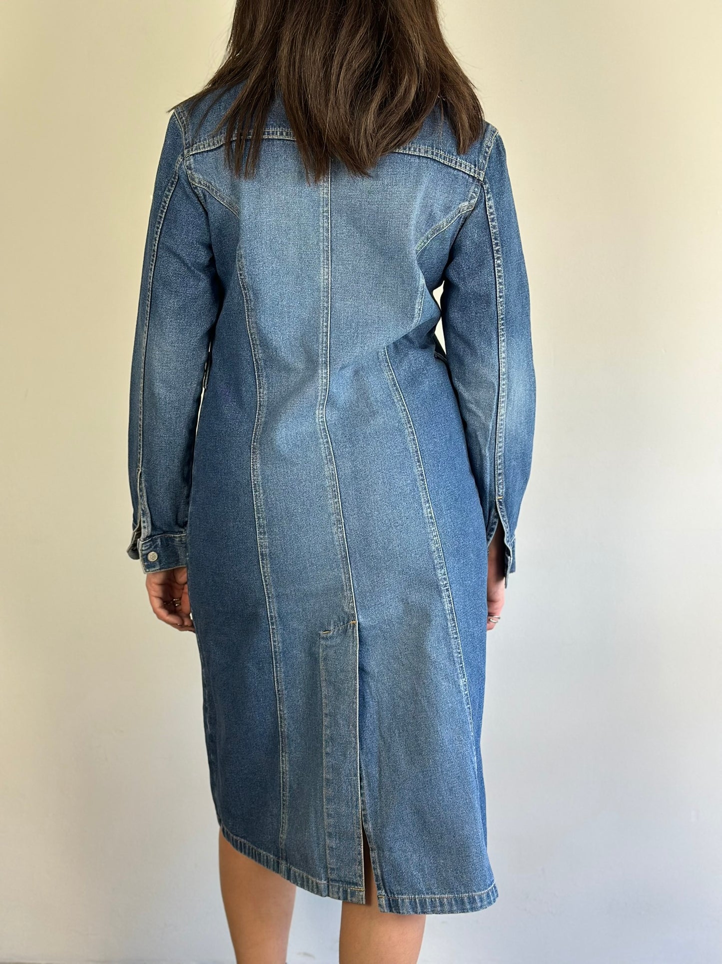 Vintage Denim Dress