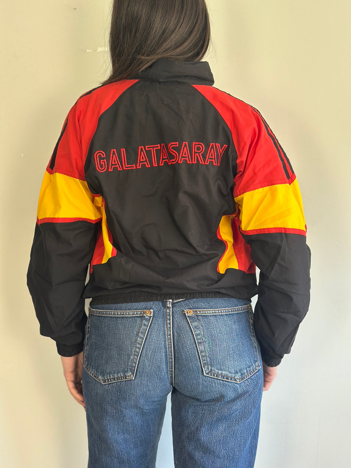Vintage Windbreaker